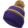 Purple/Light Gold