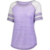 Purple/Silver