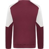 image:imageHolloway Mens Holloway Momentum Team Fleece CrewMaroonWhite