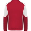 image:imageHolloway Mens Holloway Momentum Team Fleece CrewScarletWhite