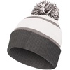 image:imageHolloway Unisex Adult Reflective BeanieWhiteCarbon