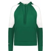image:imageHolloway Womens Holloway Ladies Momentum Team Fleece HoodieDark GreenWhite