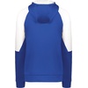 image:imageHolloway Womens Holloway Ladies Momentum Team Fleece HoodieRoyalWhite