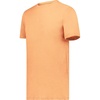 Terracotta Heather