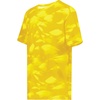 Gold Glacier Print