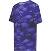 Purple Glacier Print