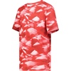 Scarlet Glacier Print