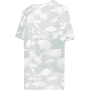 Silver Glacier Print