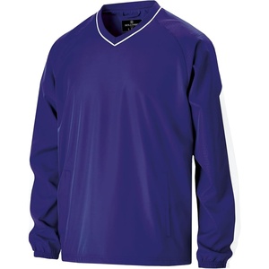 image:imageHolloway Mens 229019PurpleWhite