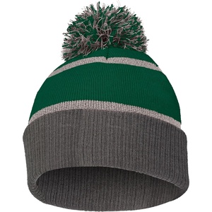 image:imageHolloway Unisex Adult Reflective BeanieForestCarbon
