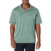 image:imageHolloway Mens Holloway Electrify 20 Polo ShirtForest Heather