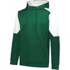 image:imageHolloway Boys Holloway Youth Momentum Team HoodieDark Green  White