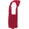 image:imageHolloway Boys Holloway Youth Momentum Team HoodieScarlet  White