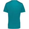 image:imageHolloway Boys MomentumTeal