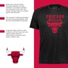 image:imageHolloway Boys NBA Chicago Bulls pro TeeYouth Basketball TShirt Team Fan Gear Perfect for Game DaysMulti