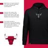 image:imageHolloway NBA Classic Hoodie Comfortable Pullover with Team Logo  Perfect for Game Day and CasualMulti