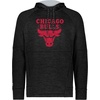 image:imageHolloway NBA Poly Fleece Hoodie  Team IconMulti