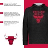 image:imageHolloway NBA Poly Fleece Hoodie  Team IconMulti