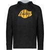 image:imageHolloway NBA Poly Fleece Hoodie  Team IconMulti