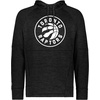 image:imageHolloway NBA Poly Fleece Hoodie  Team IconMulti
