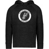 image:imageHolloway NBA Youth AllPro Fleece Hoodie  Comfortable Pullover  Ideal for Basketball FansMulti