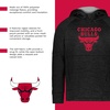 image:imageHolloway NBA Youth AllPro Fleece Hoodie  Comfortable Pullover  Ideal for Basketball FansMulti